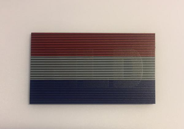 IR Dual Patch NLD vlag